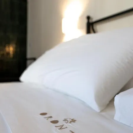 Oronti Guest house *