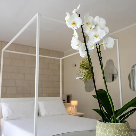 Oronti בית הארחה לצ'ה