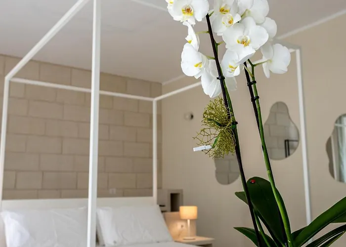 Oronti בית הארחה לצ'ה