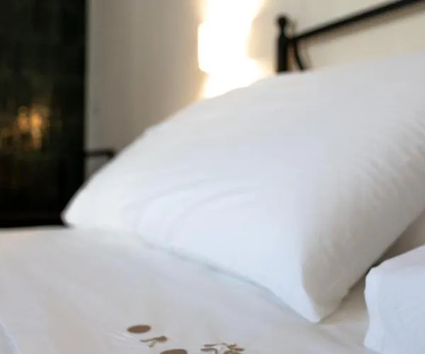 Oronti Guest house 4*